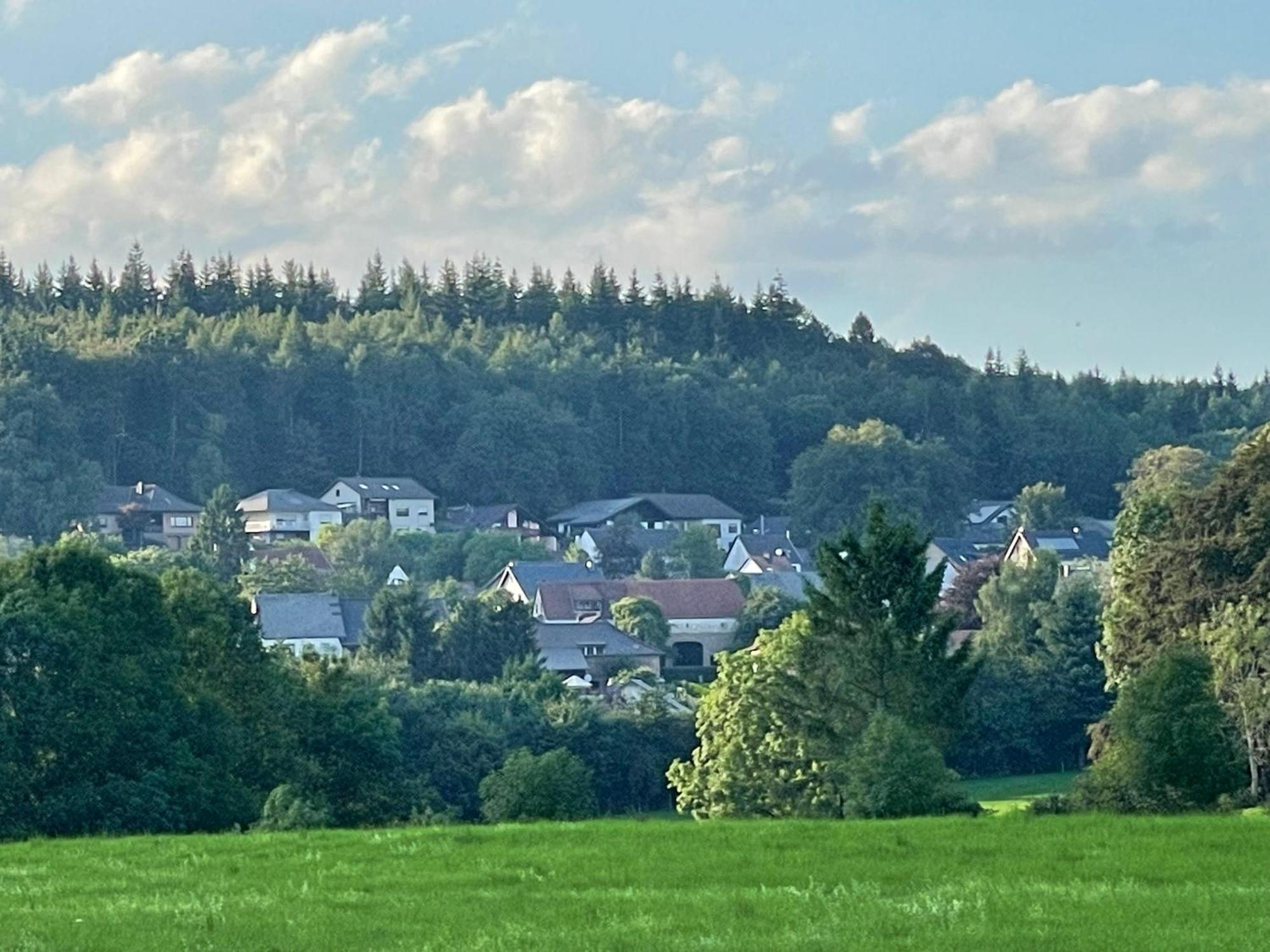 Ferienhaus Eifelblick Feusdorf المظهر الخارجي الصورة